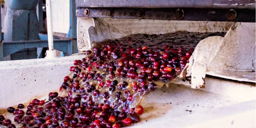 Ethiopian coffee heritage and tradition