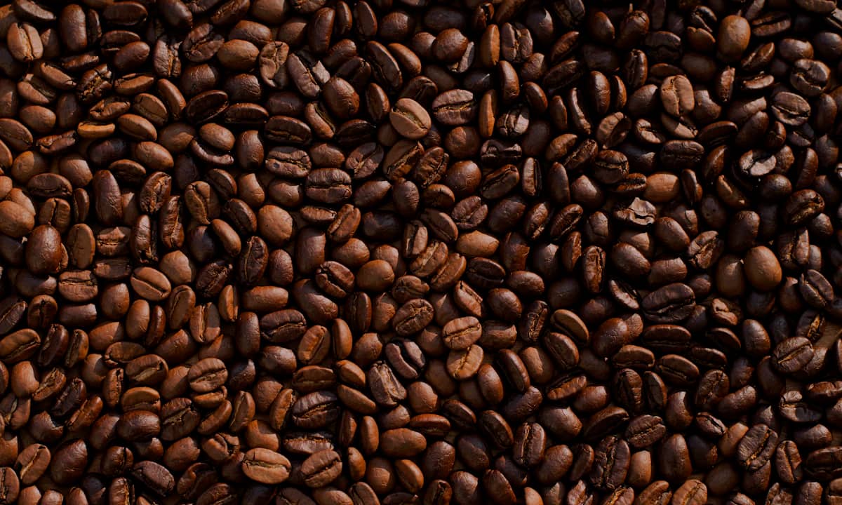 Arabica and Robusta coffee beans side by side showing the size and shape differences between the two species