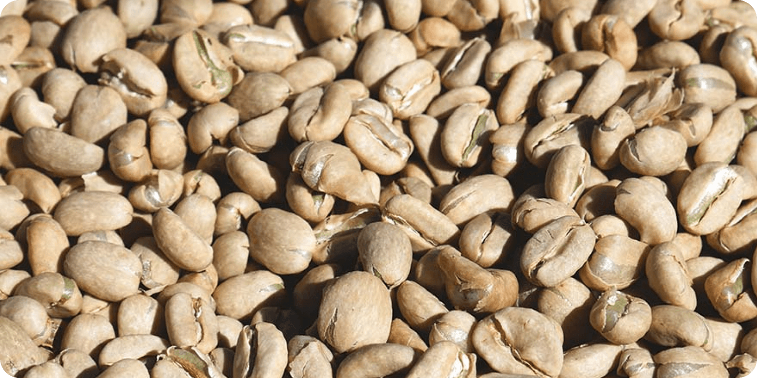 Light, medium, and dark roasted Ethiopian coffee beans compared side by side