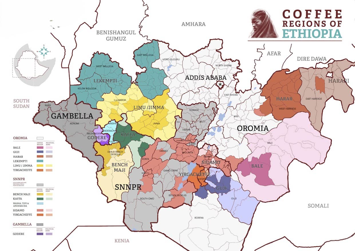 Map overview of Ethiopian coffee growing regions including Yirgacheffe, Guji, Sidamo, Harar, and Limu