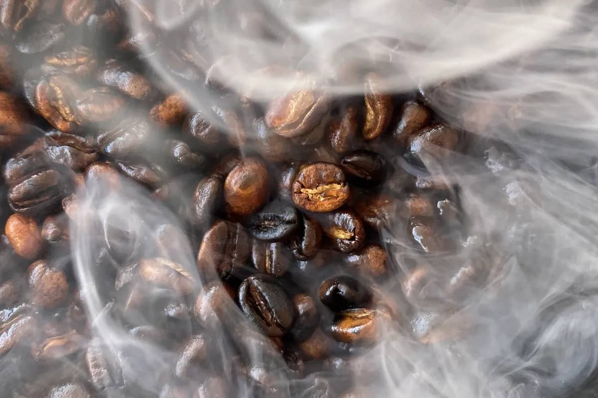 Ethiopian single-origin coffee beans next to commercial regular coffee beans showing the visual and quality differences