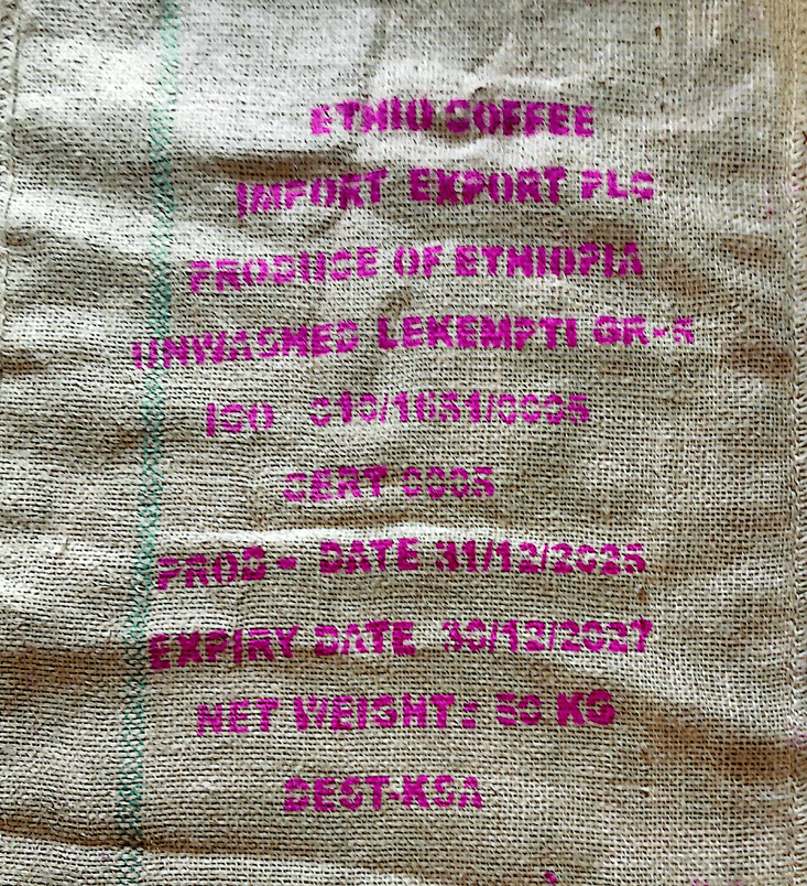 Ethiopian green coffee beans drying on raised beds