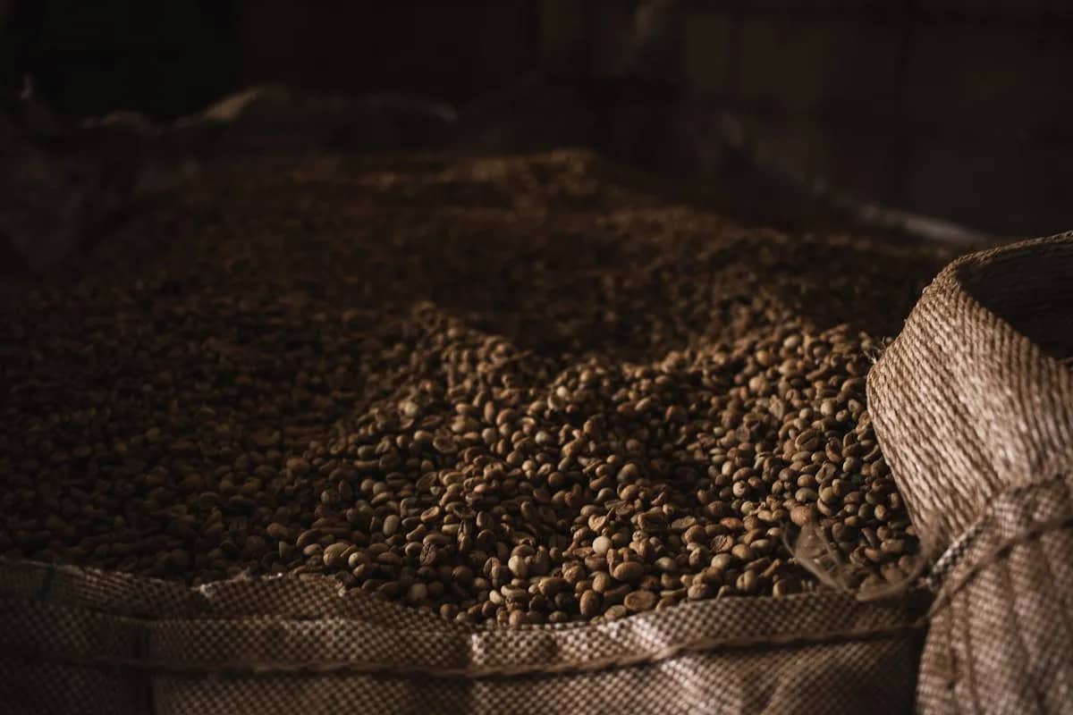 Ethiopian Coffee Subscription in Canada: A Complete Guide