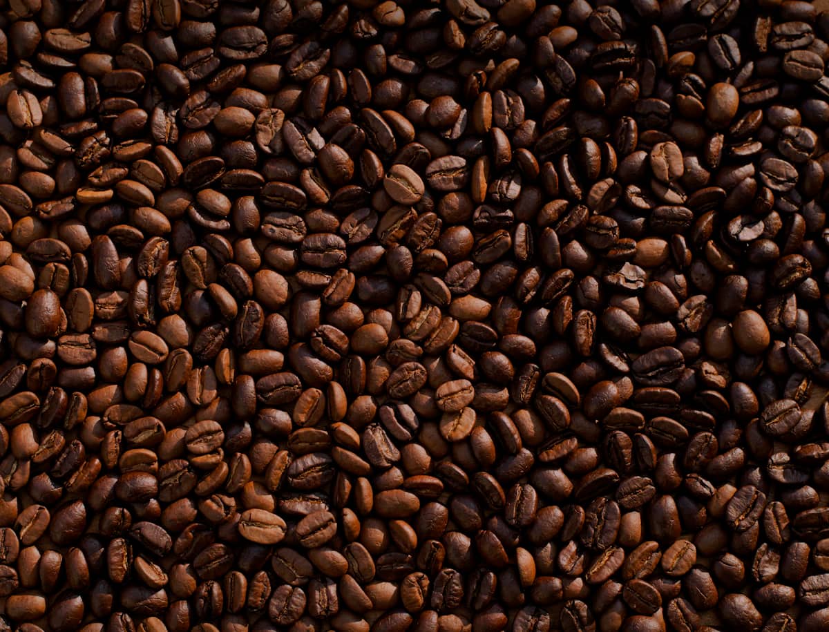 Ethiopian and Brazilian coffee beans compared side by side showing colour and size differences
