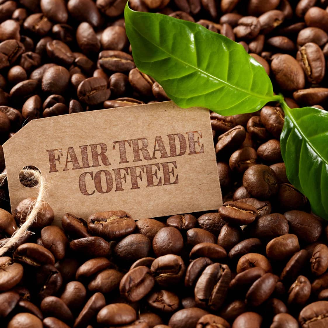 Fair Trade Ethiopian Coffee: A Guide for Canadians