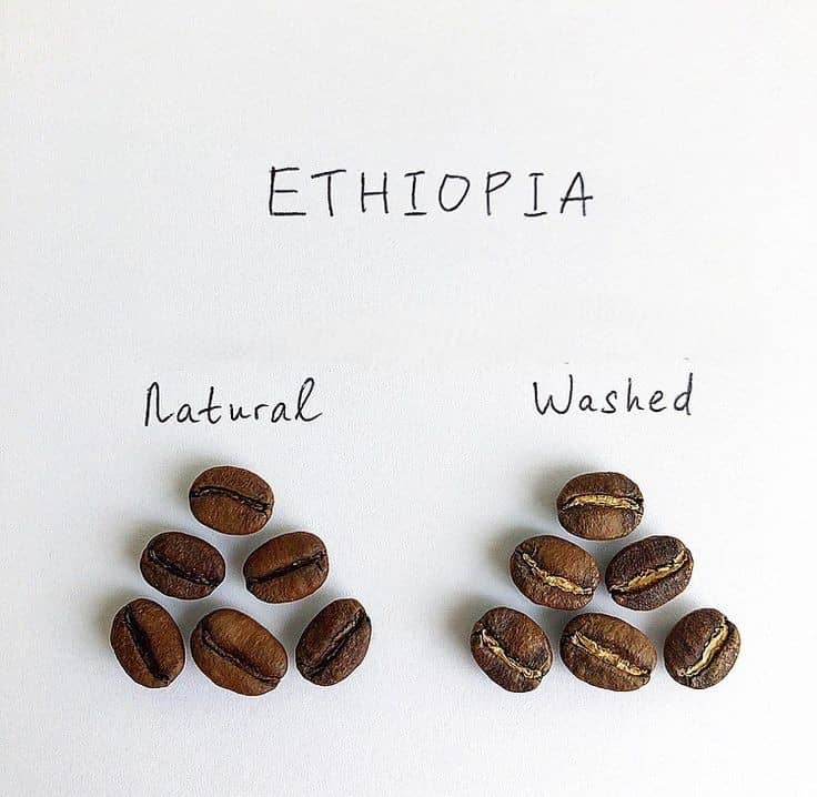 Washed and natural processed Ethiopian coffee beans side by side showing colour and texture differences